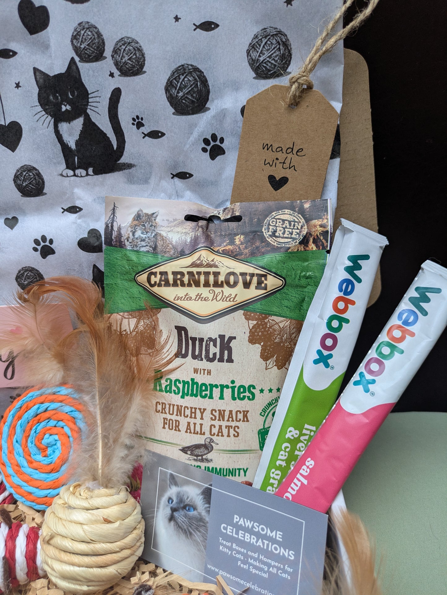 Huge Luxury Cat Gift Box | Grain-Free Treats & Sisal Toys