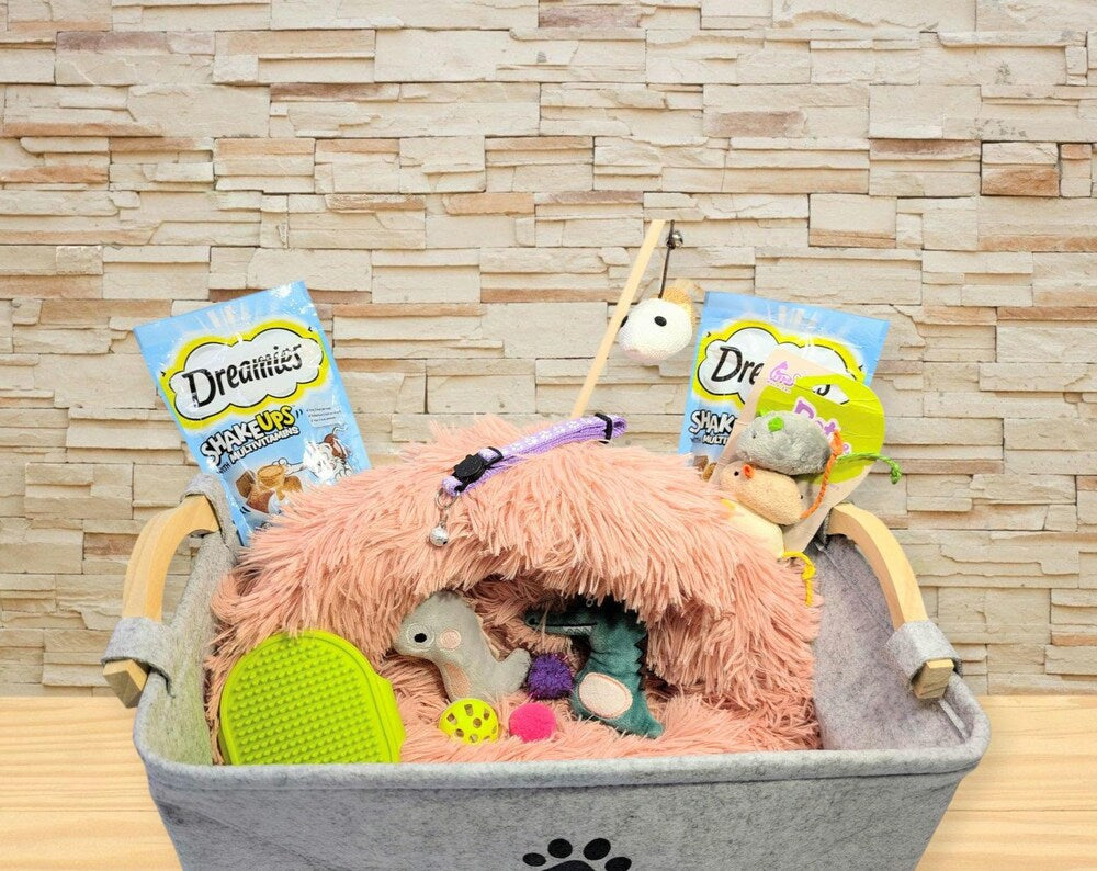 Cat Gift hamper with toys, cat bed, treats, toy box, and grooming brush