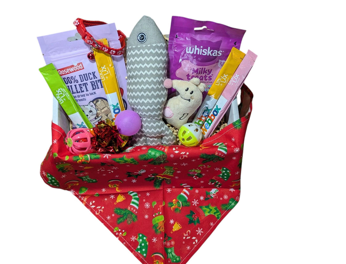 Red festive fabric box with Christmas cat treats, fish-shaped toy, plush mouse, and colorful catnip sticks.