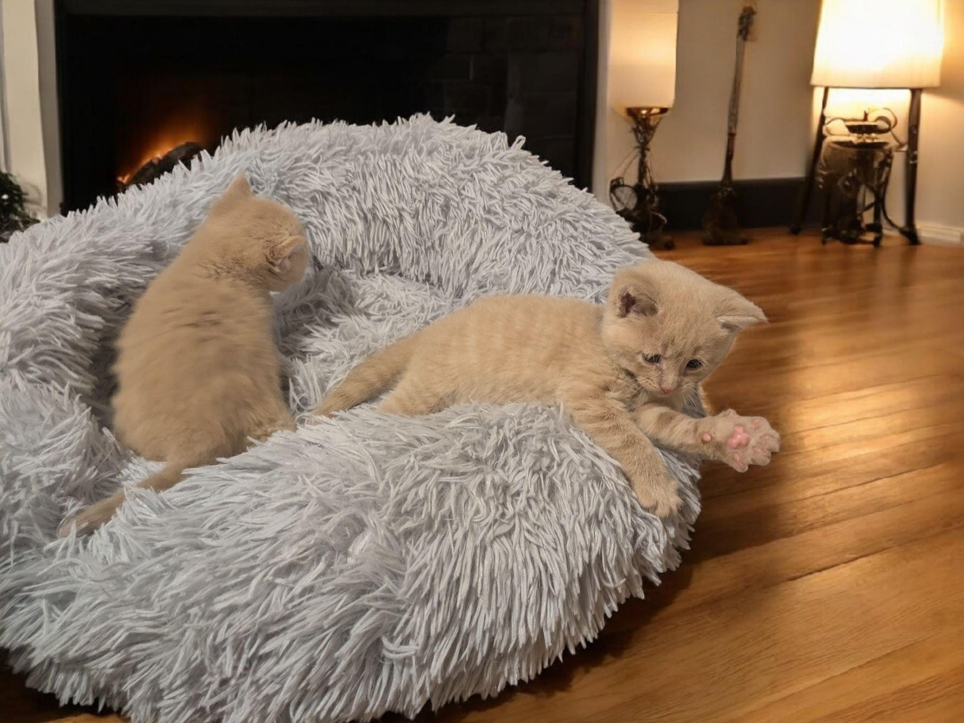 Grey plush cat bed with fluffy texture holding two light beige kittens playing indoors.