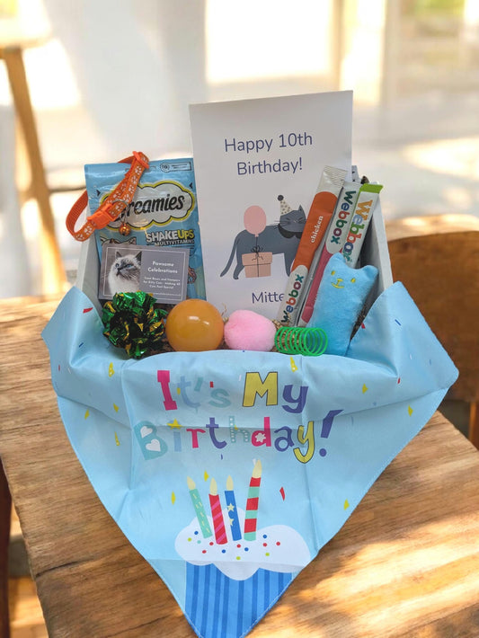 Cat Birthday Gift Box | Premium Birthday Treats & Toys for Cats
