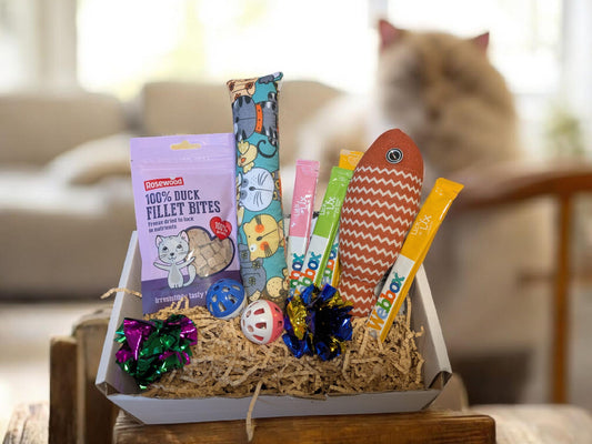 Wooden box filled with catnip toys and a bag of fish-flavored cat treats on straw bedding.