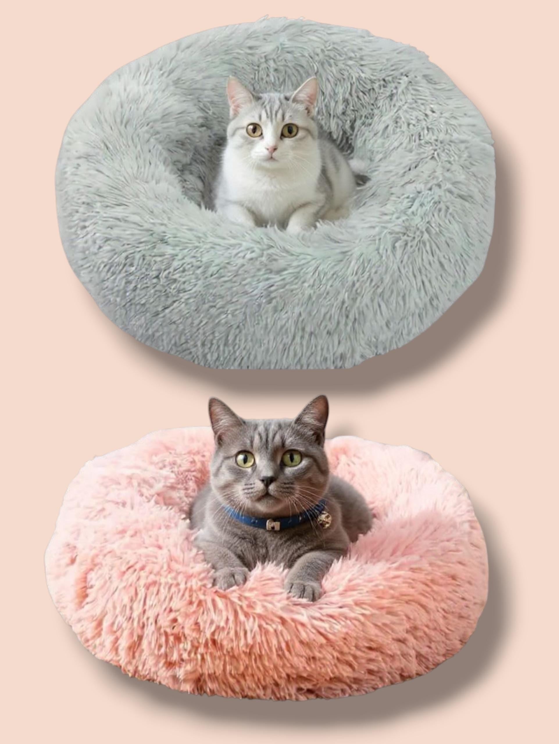 Grey fluffy round cat bed with white tabby cat, pink fluffy round bed with grey cat wearing collar.