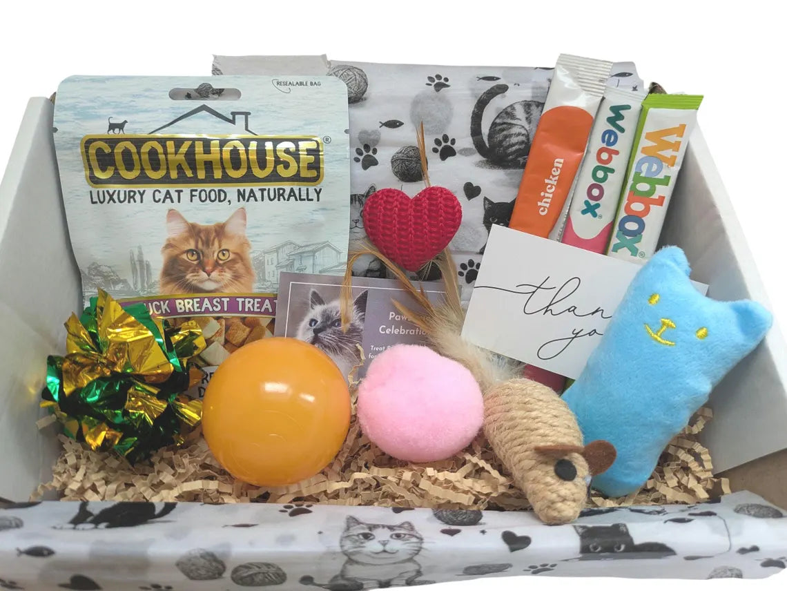 Cat-themed gift box with cat food, toys, and treats on a white background