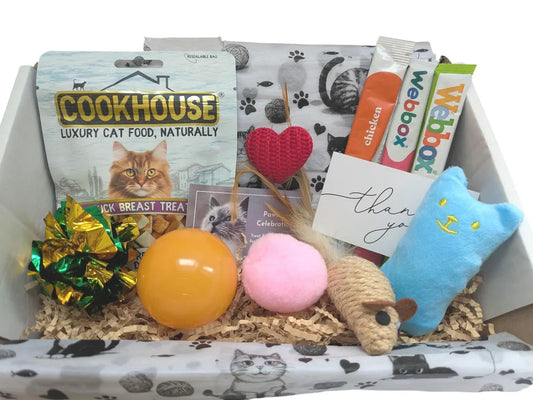 Cat-themed gift box with cat food, toys, and treats on a white background