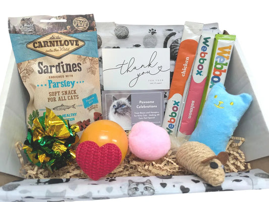 Valentines Gift Box for Cats with Treats and Toys.