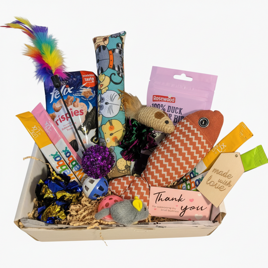 Monthly Cat Subscription Box