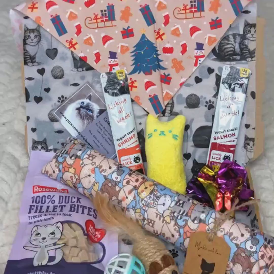 A curated pet gift box filled with treats, toys, and accessories, including a bag of 100% Duck Fillet Bites for cats, a yellow plush toy, a patterned pet toy roll, a blue ball, and a personalized tag, arranged in a cardboard box with a festive printed cat neck scarf.