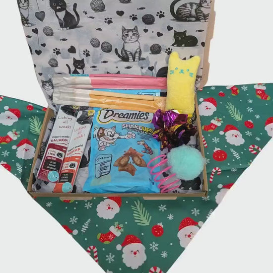 A Christmas-themed pet gift box filled with treats, toys, and accessories, set on a festive green bandana with Santa and snowflake patterns. The box is lined with white paper featuring black cat illustrations, and the contents include a blue bag of Dreamies dog treats, a yellow plush toy, a pink cat toy, and other holiday treats.