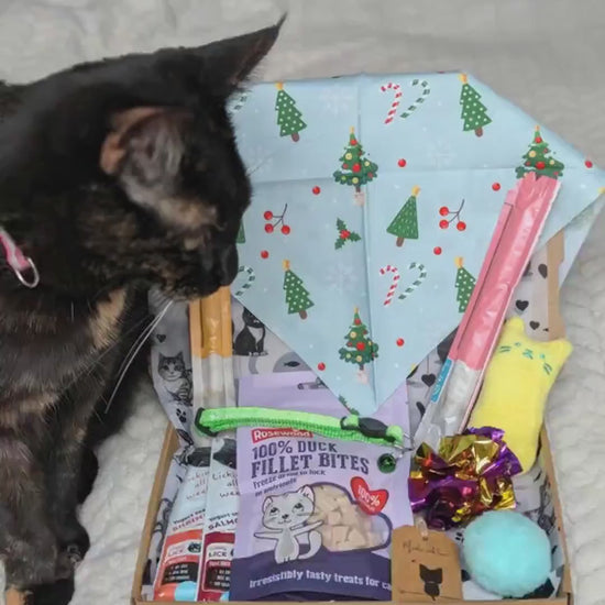 A Christmas-themed pet gift box filled with treats, toys, and accessories, set on a festive blue bandana with christmas trees and candy cane patterns. The box is lined with white paper featuring black cat illustrations, and the contents include a blue bag of Dreamies cat treats, a yellow plush toy, a pink cat toy, and other holiday treats.