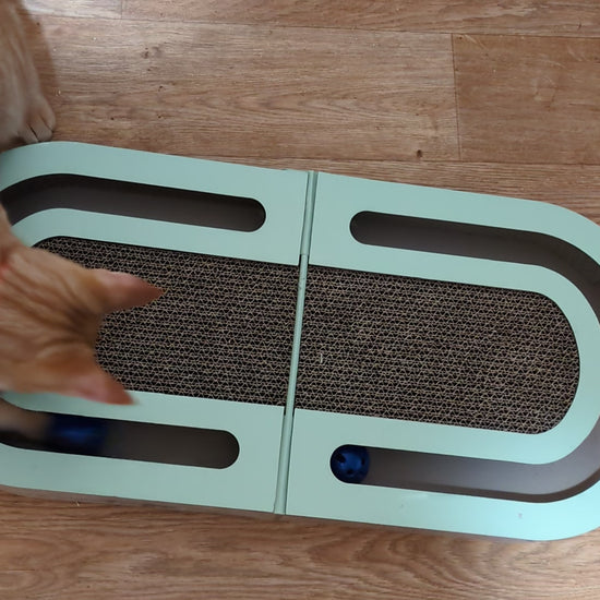 Cat playing with the interactive cat scratcher and catnip balls