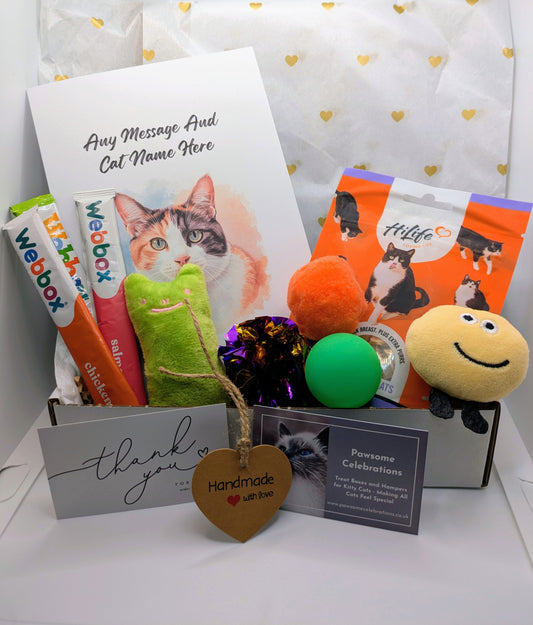 Grain-free cat treats, toys, personalised card and handmade tag.