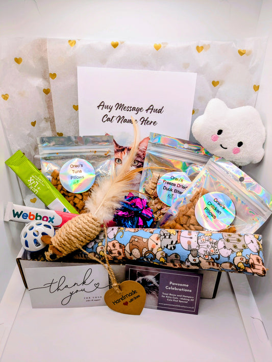 Cat treat Hamper with catnip cat kicker toy, sisal mouse, other toys, treats, and a personalised card.