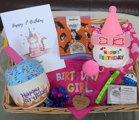 Luxury Cat Birthday Gift Box with Treats and Toys - Personalised