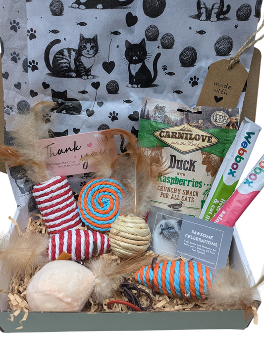 Huge Luxury Cat Gift Box | Grain-Free Treats & Sisal Toys
