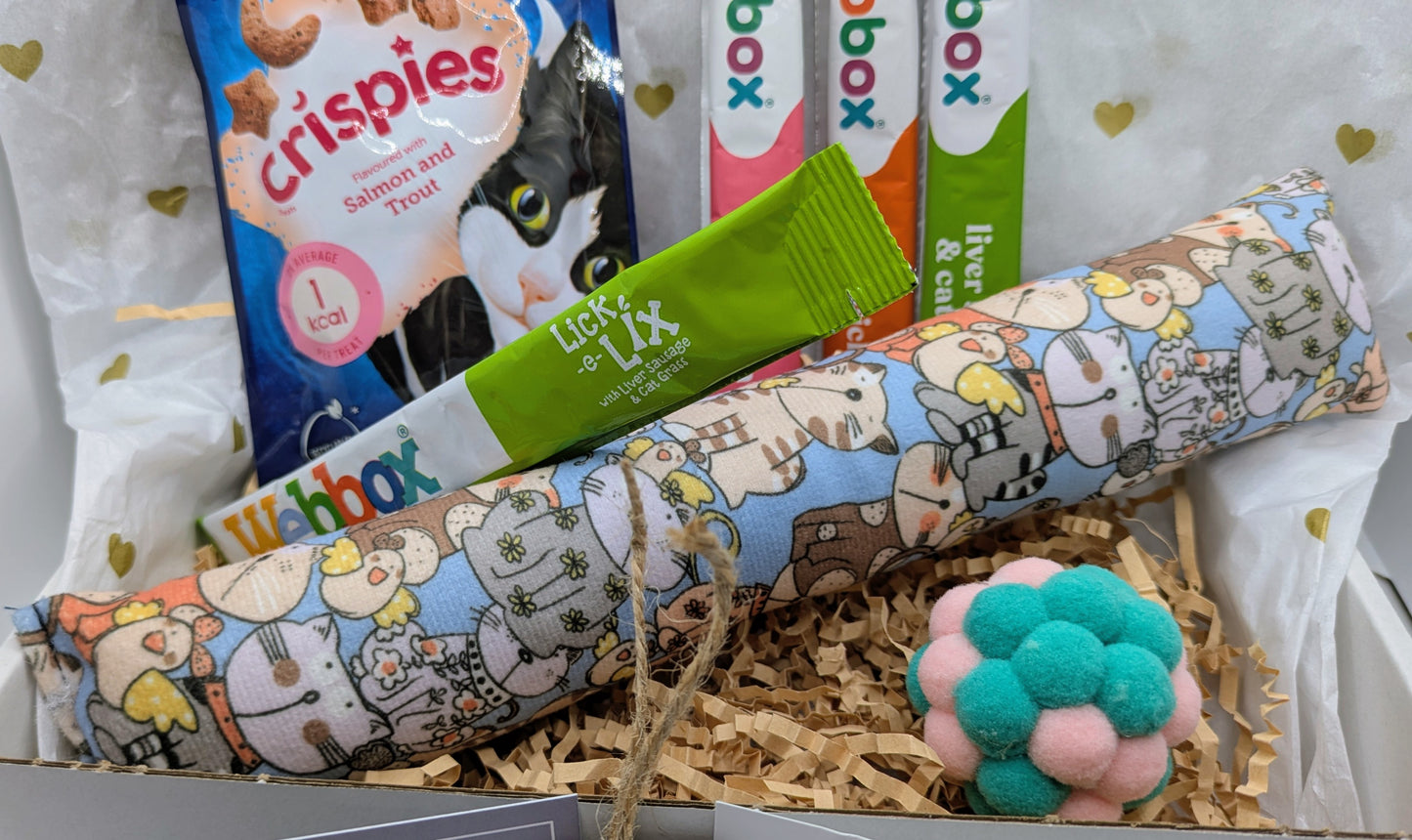 Cat-themed gift box with snacks and a toy on a white background