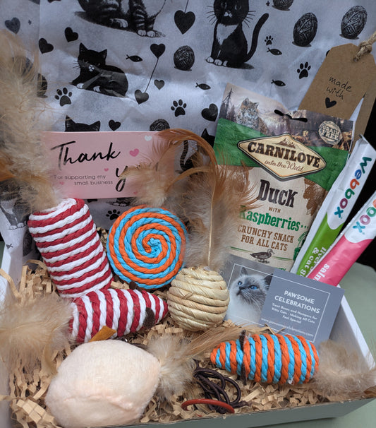 Cat gift basket with sisal toys and grain-free treats.