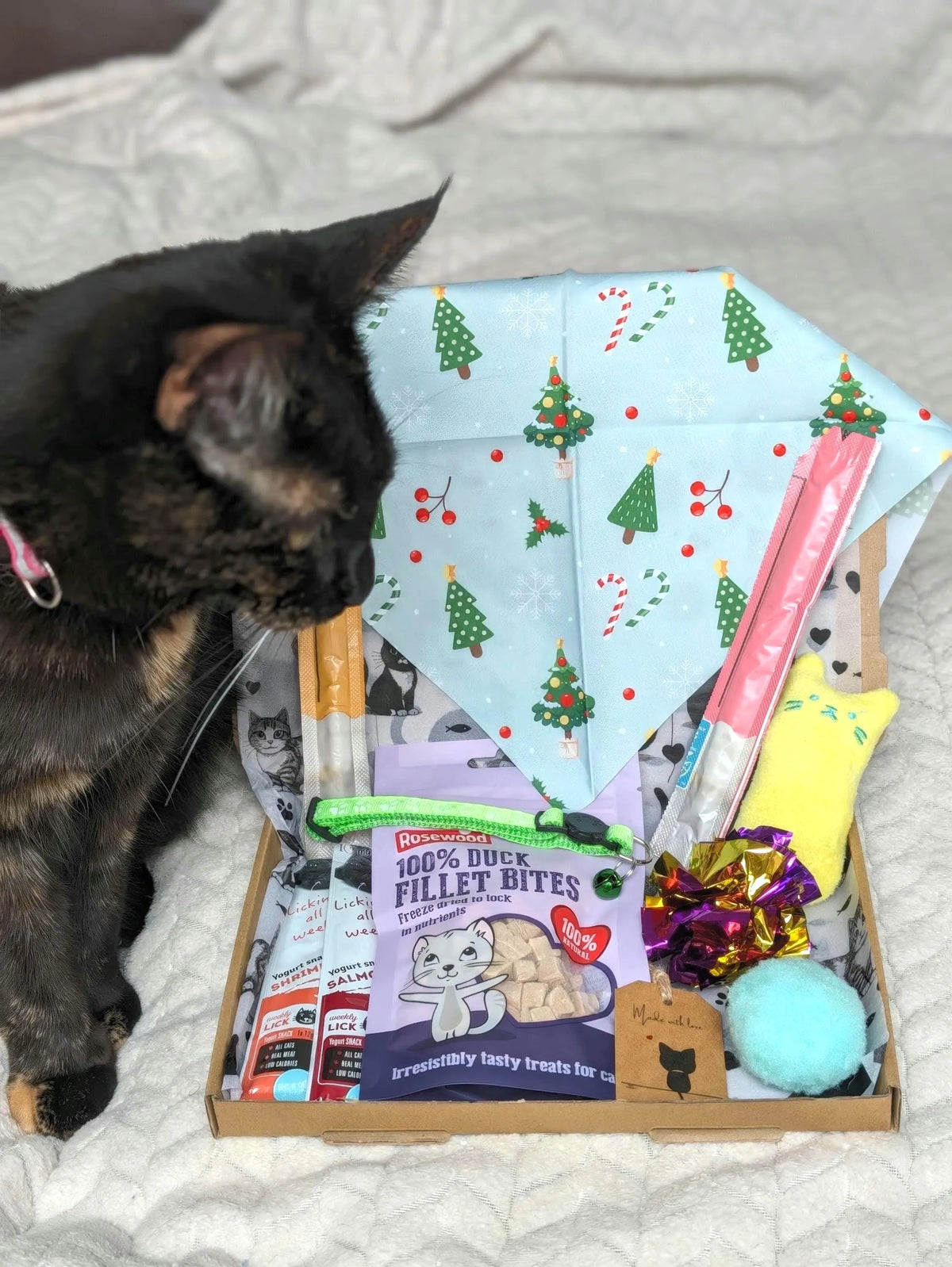 Cat beside a Christmas hamper containing duck treats, cat yoghurts, meaty sticks, a collar, festive scarf and toys.